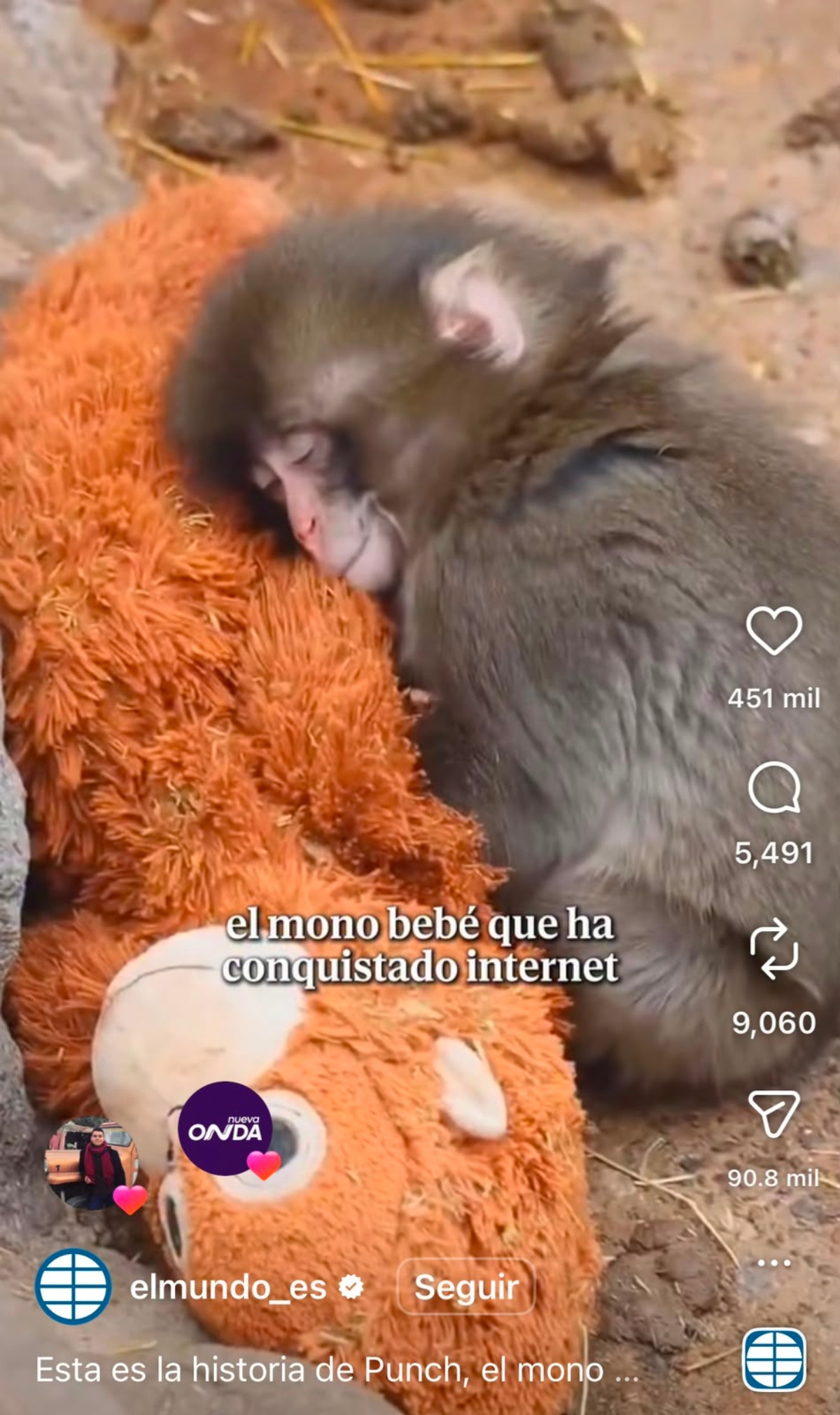 Punch macaco japonés cumpleaños