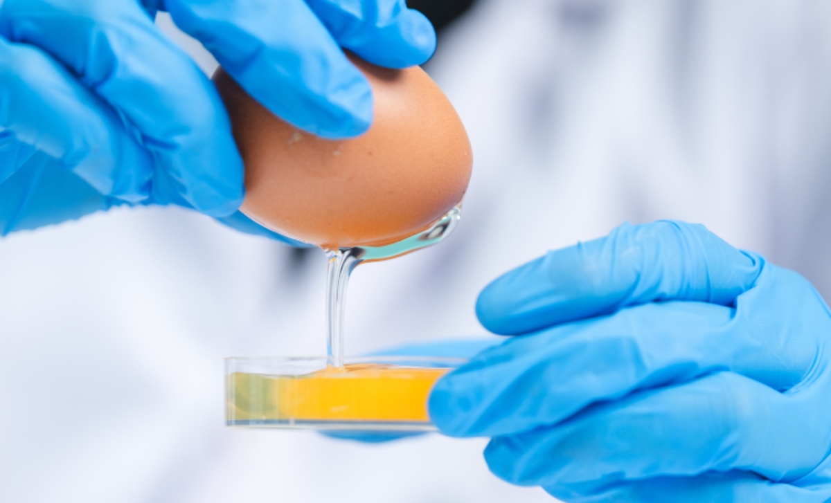 Brotes de salmonella Estados Unidos, Brotes de salmonella, Estados Unidos, salmonella, Nueva Onda