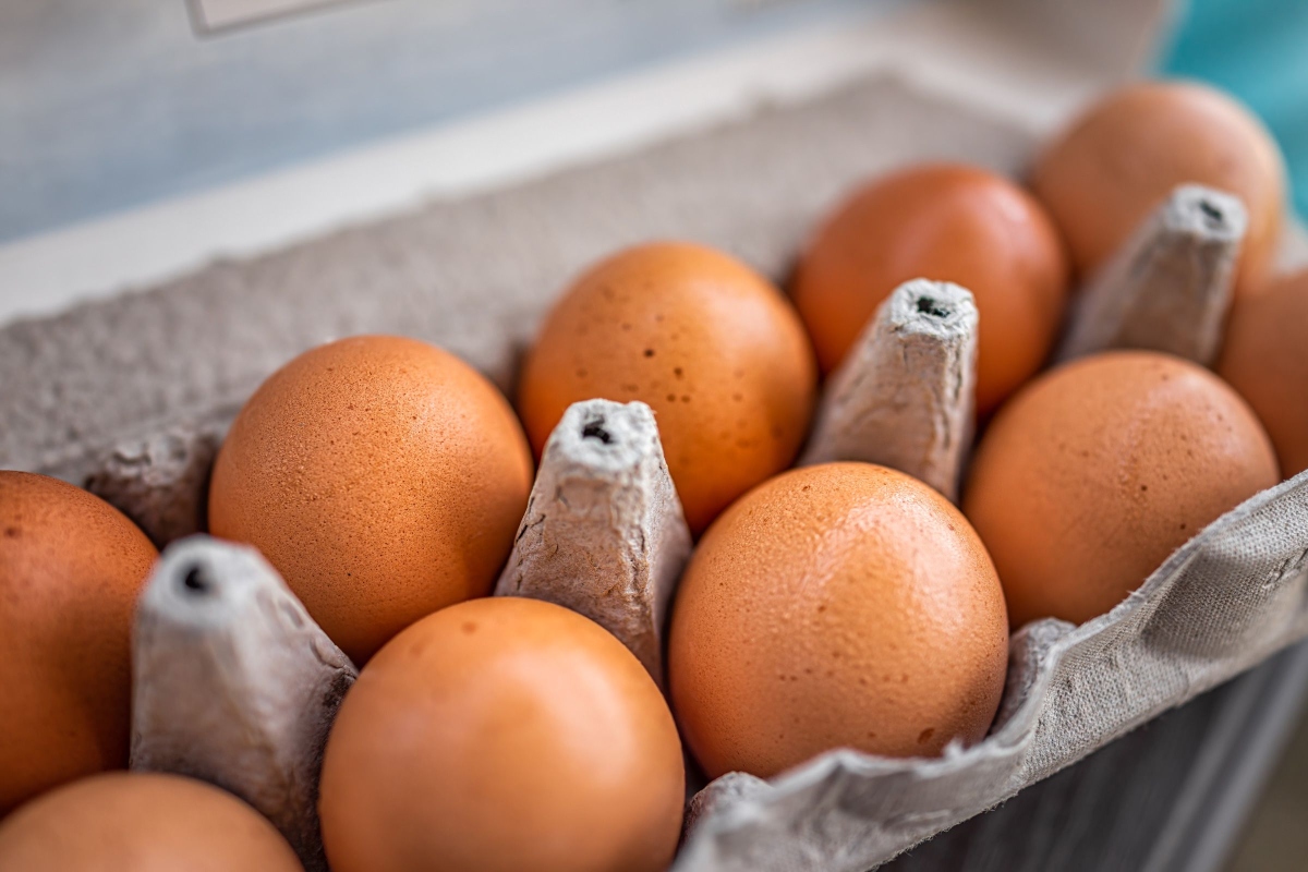Alerta por salmonella: huevos, jalapeños y animales están detrás de múltiples brotes