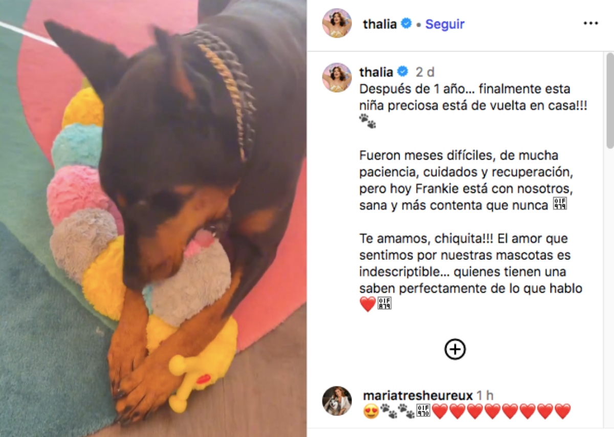 Thalía confiesa el difícil momento que vivió