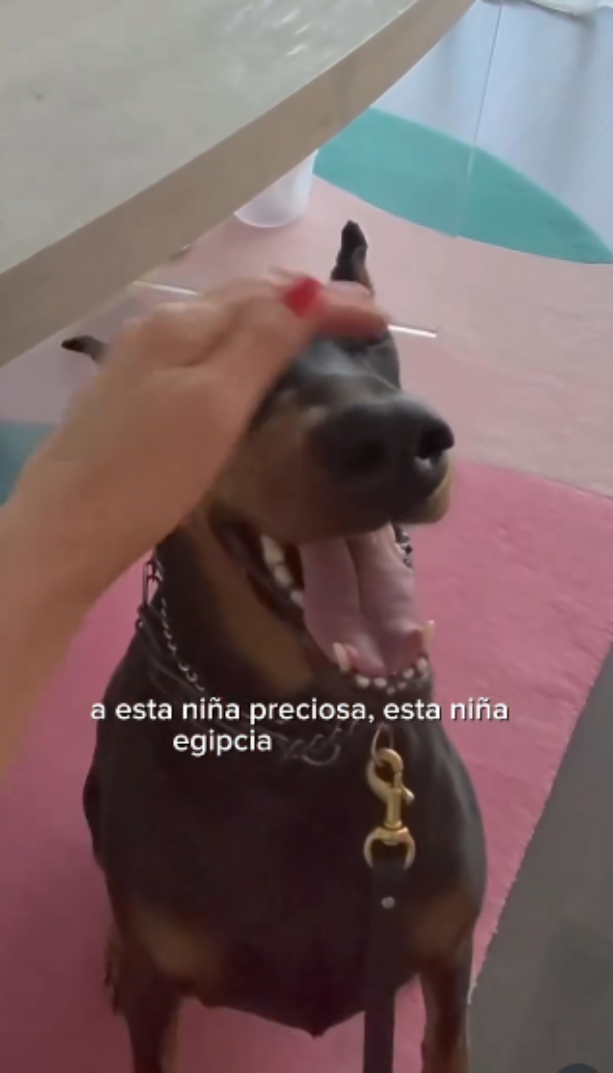 Thalía confiesa el difícil momento que vivió