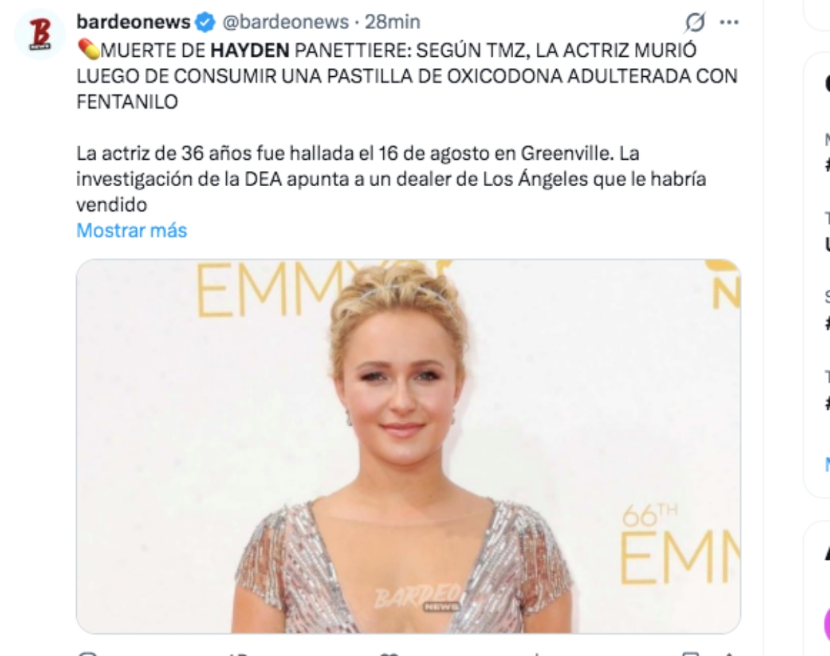 Hayden Panettiere habría perdido la vida por ingerir una pastilla