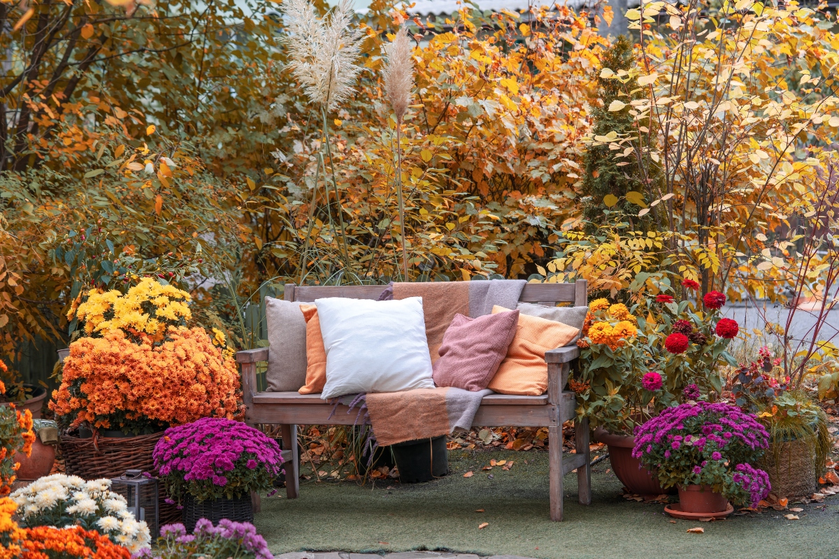 Fall in Style: 7 Plants That Transform Any Garden