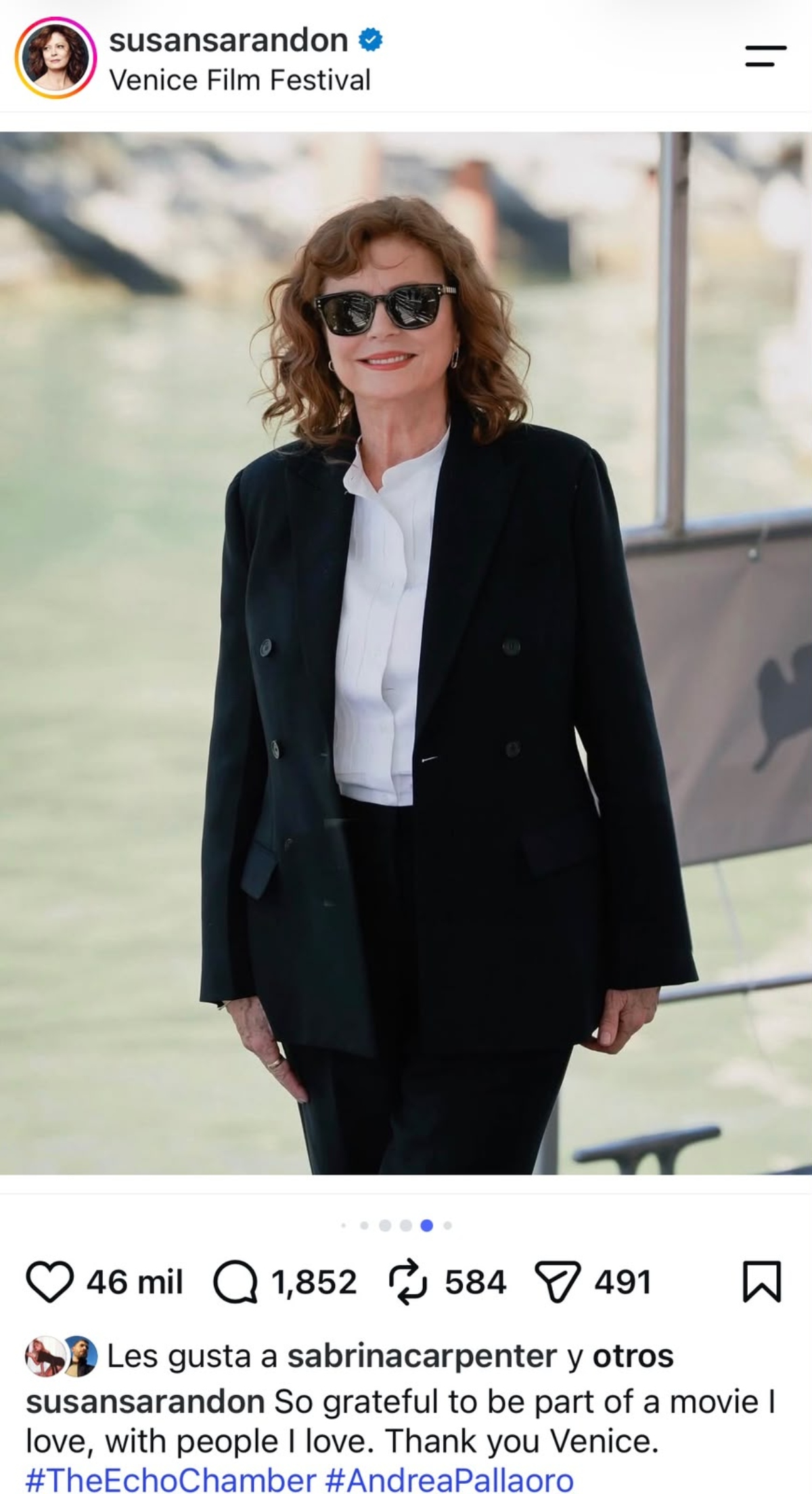 Susan Sarandon exhibe por qué la han excluido de proyectos