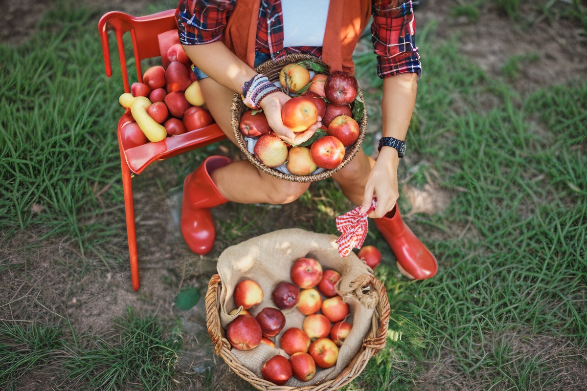 Manzanas para recetas otoñales: las favoritas de los chefs